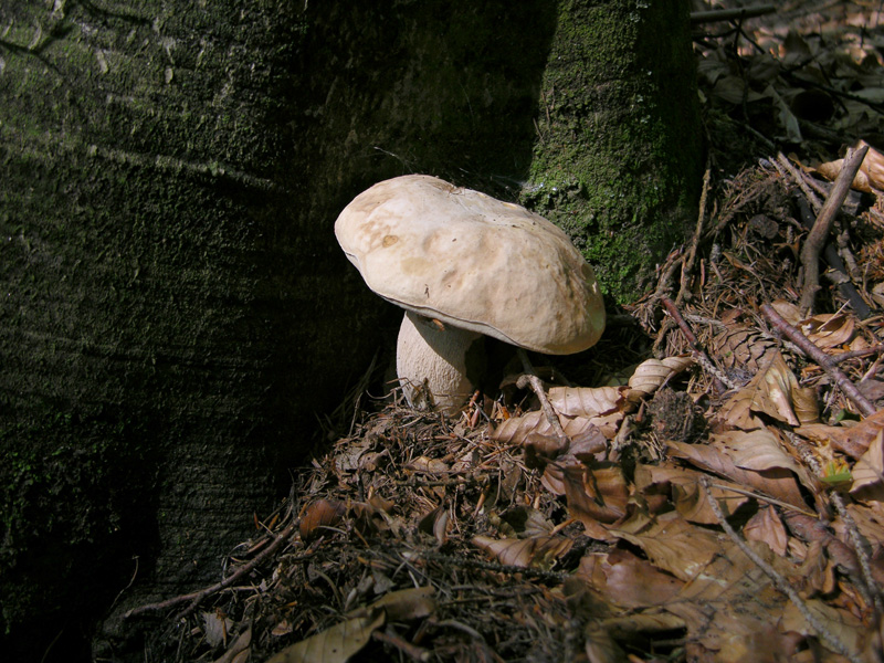 � arrivata l''acqua...speriamo
